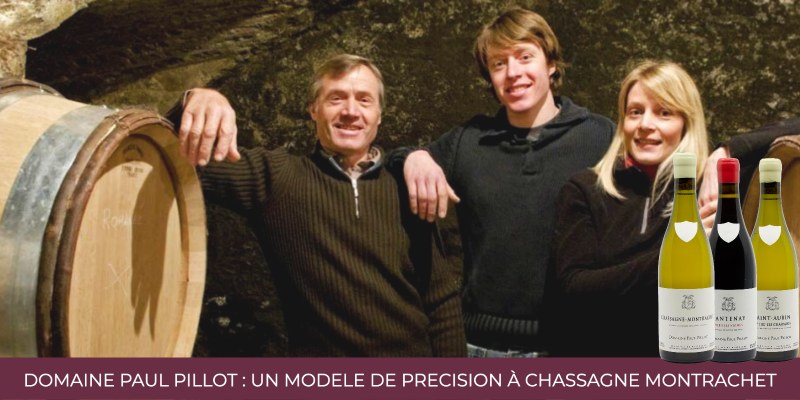 Domaine Paul Pillot : un modèle de précision de Chassagne Montrachet jusqu'à Santenay ! 